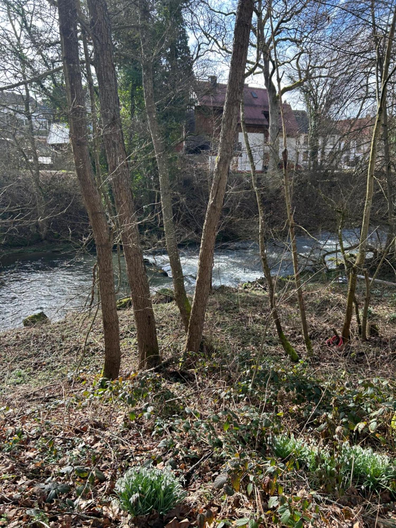 Villa Am Fluss Pforzheim Kültér fotó